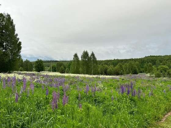 Первоисточник