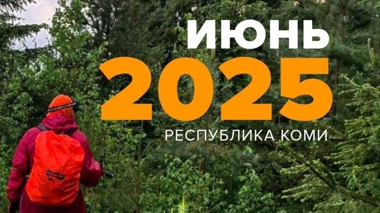 Коллаж сообщества «Лиза Алерт»