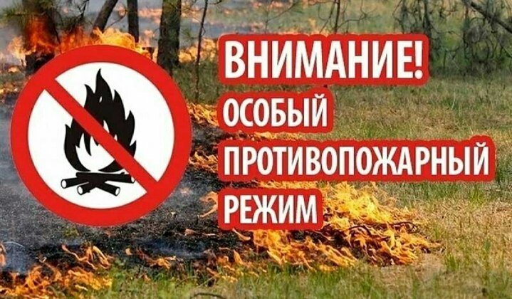 МЧС