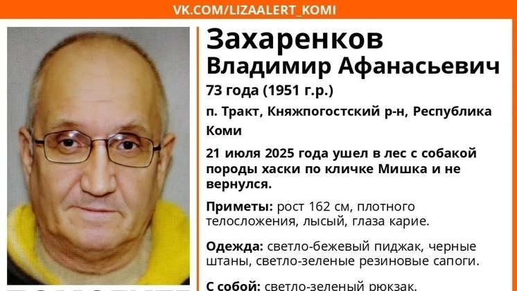 ориентировка «Лиза Алерт Коми»