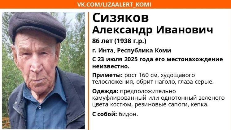 ориентировка «Лиза Алерт Коми»