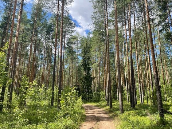 Первоисточник