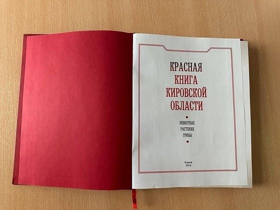 правительство Кировской области