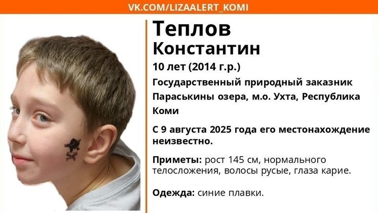ориентировка «Лиза Алерт Коми»