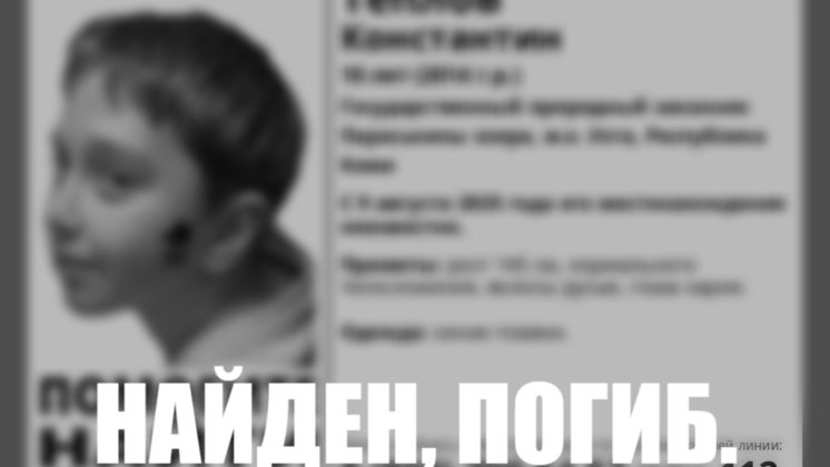 ориентировка «Лиза Алерт Коми»