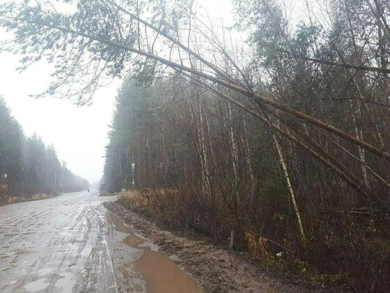 Фото: Банка об этом не напишет 