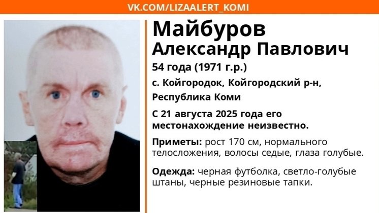 Фото ориентировки «Лиза Алерт Коми»