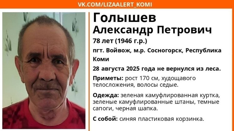 Фото ориентировки «Лиза Алерт Коми»