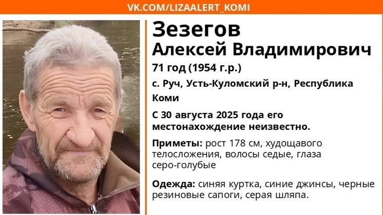 Фото ориентировки «Лиза Алерт Коми»