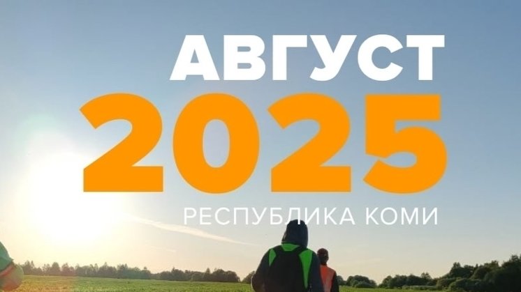 изображение сообщества «Лиза Алерт Коми»