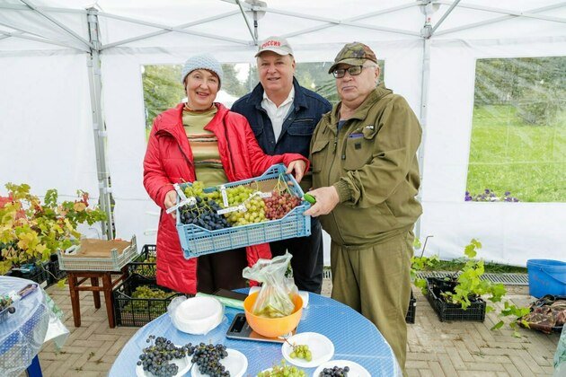 Александр Быкасов