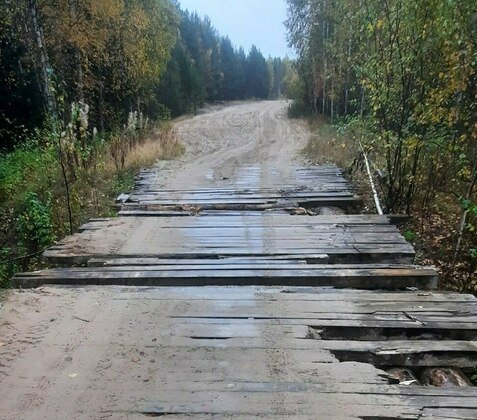 Фото: соцсети и канал "Песец" 
