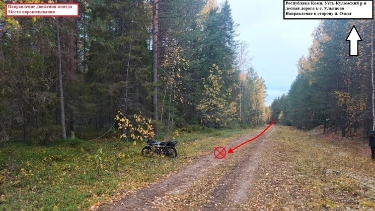 фото ГИБДД Коми