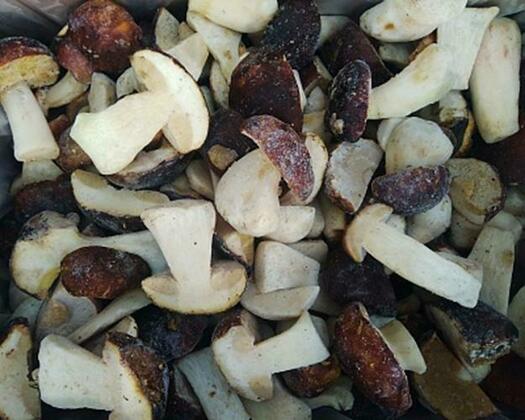 Россельхознадзор Кировской области