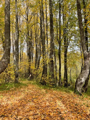 Первоисточник