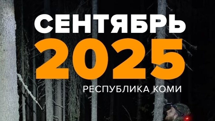 Коллаж «Лиза Алерт Коми»