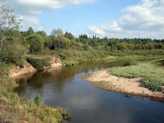 Правительство