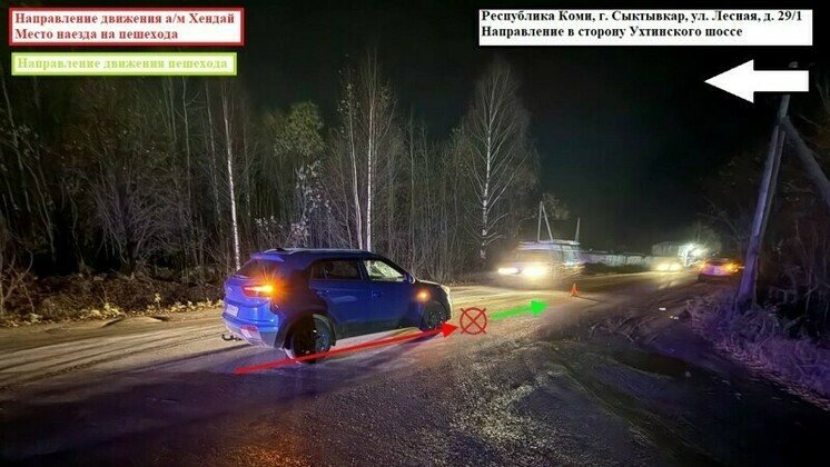фото ГИБДД Коми