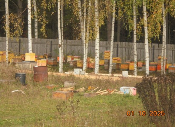 Россельхознадзор Кировской области