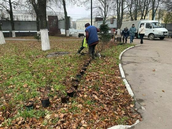 администрация Кирова