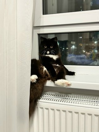 Первоисточник