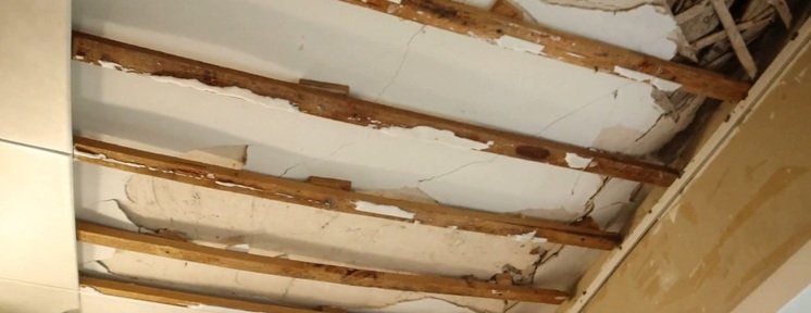 Народный Фронт