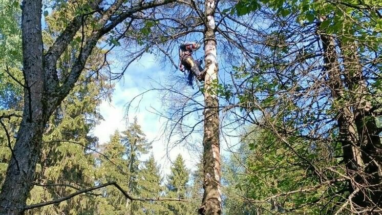 администрация Кирова