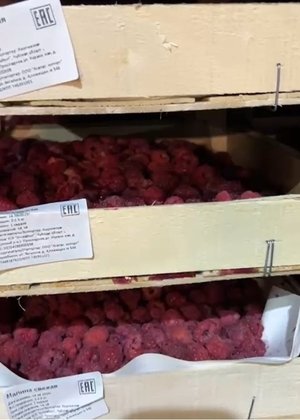 Россельхознадзор Кировской области