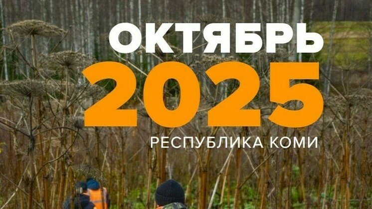 Фото поискового отряда «Лиза Алерт Коми»