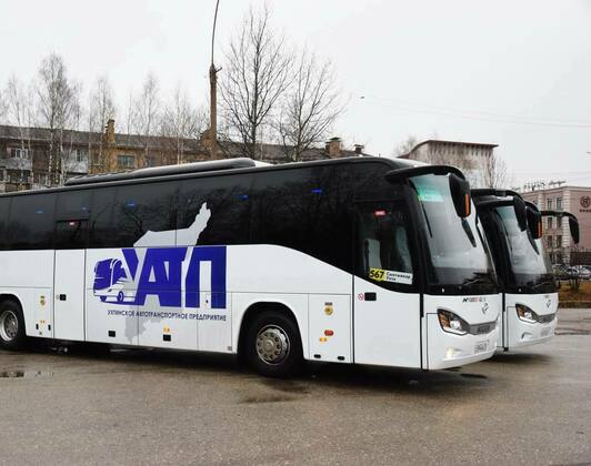 Фото: Песец