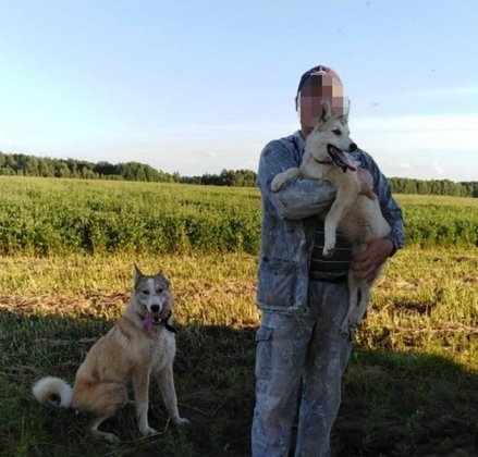 Прокуратура Кировской области 