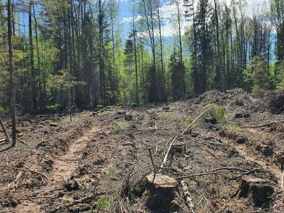 прокуратура Кировской области