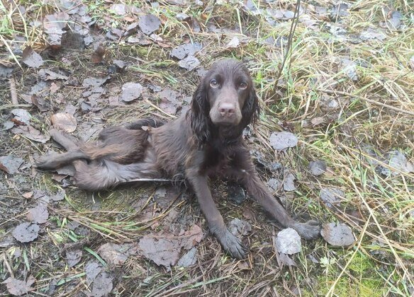 Фото из группы «Друг вокруг»