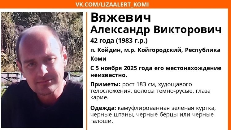 Фото ориентировки «Лиза Алерт Коми»