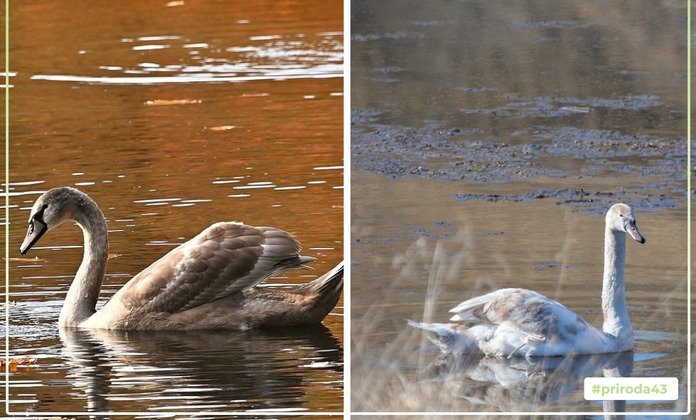 Министерство охраны окружающей среды 