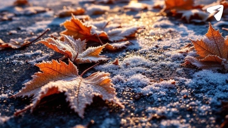 Первоисточник