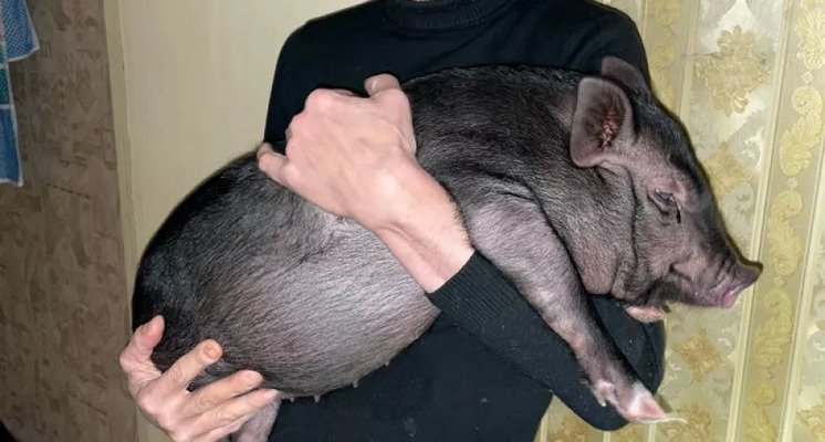 Россельхознадзор