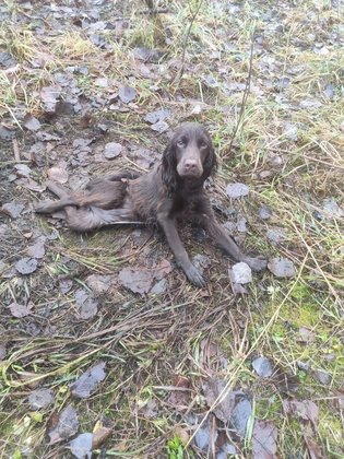 Фото: соцсети