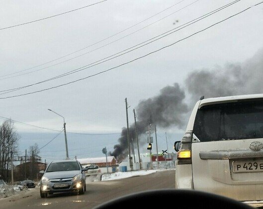 Фото: соцсети