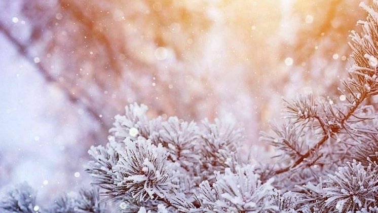 Первоисточник 