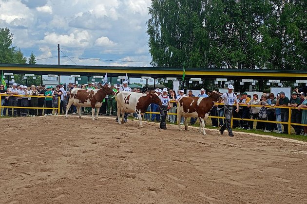 правительство Кировской области
