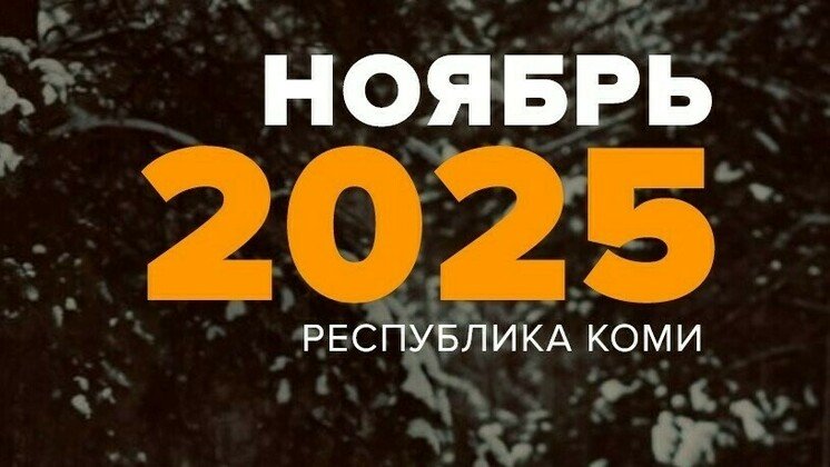 Лиза Алерт Коми