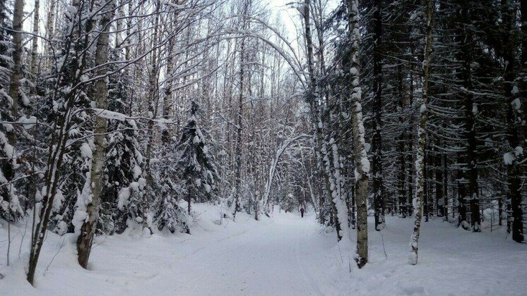 Первоисточник 