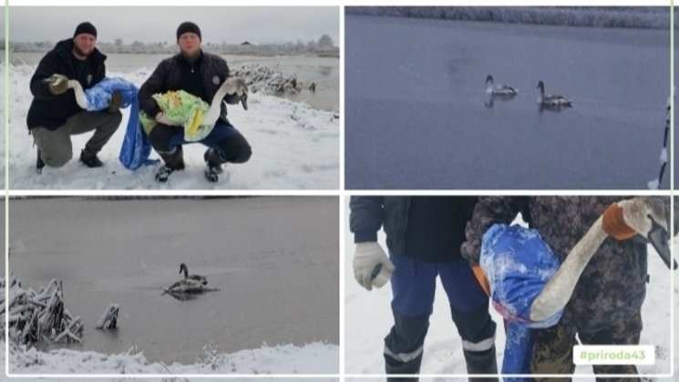 Министерство охраны окружающей среды 