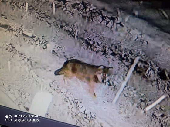 Фото Н.Кропотова