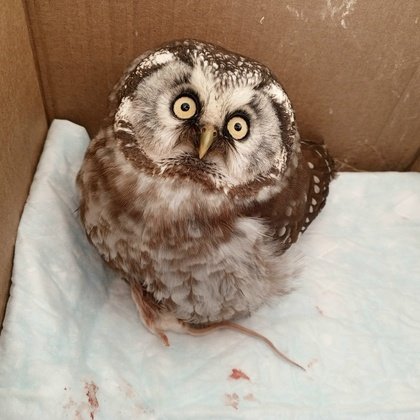 Фото Захар Елин